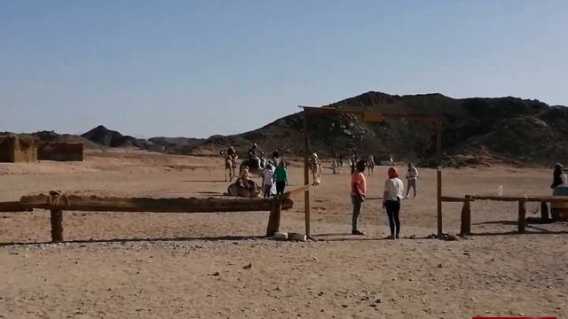 Сафари в Египте 2021г. смотреть онлайн