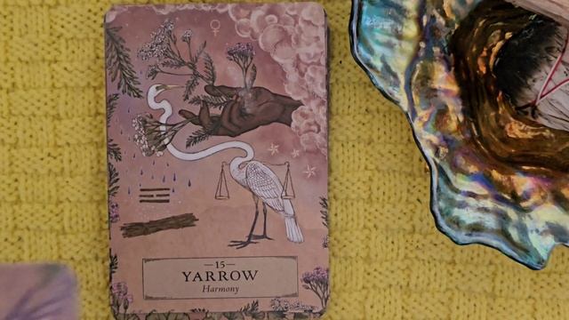 The Herbal Astrology Oracle- part of my Hay House sale purchases смотреть онлайн