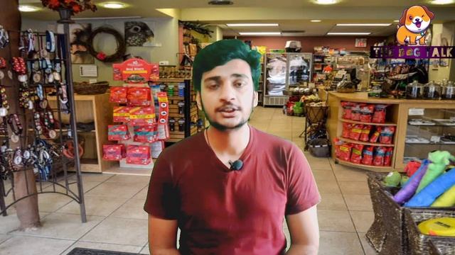 This will be my business model ?| The Dog Talk смотреть онлайн