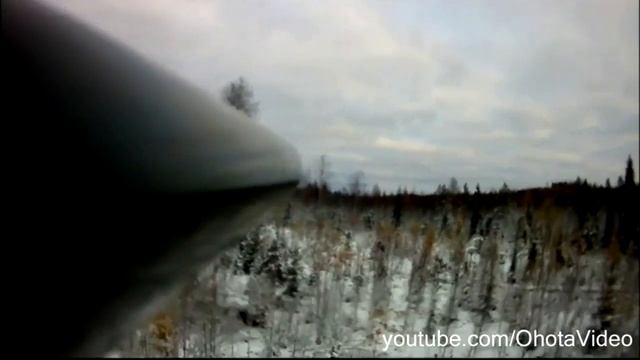 Охота на лося видео онлайн 2012-2013 Moose hunting Russia. смотреть онлайн