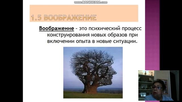 Психические процессы смотреть онлайн
