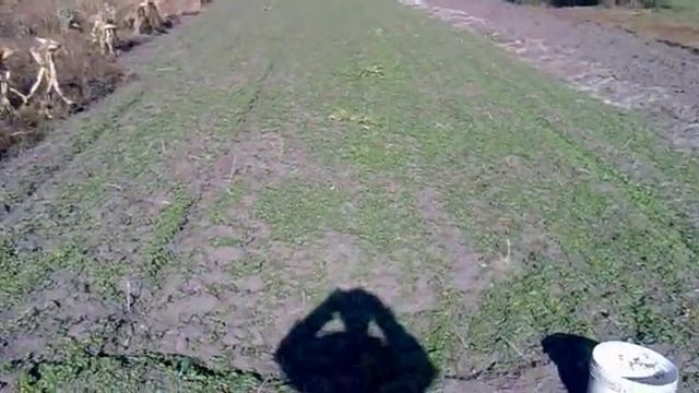 Подготовка почвы под чеснок и озимый лук. смотреть онлайн