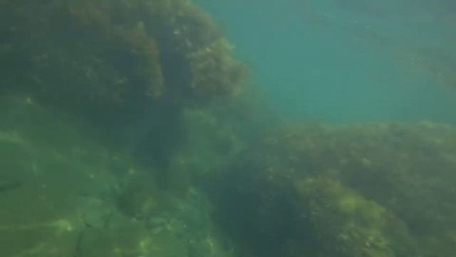 Подводная съемка в Крыму смотреть онлайн