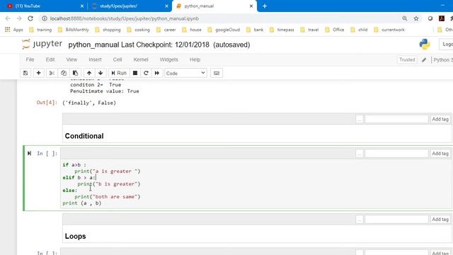 python manual conditional function смотреть онлайн