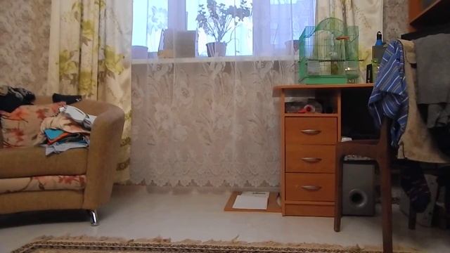 Забавные и полезные товары из Китая. Магазины Алиекспресс и Жум (joom)