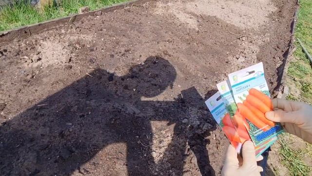 Посадка моркови ? смотреть онлайн