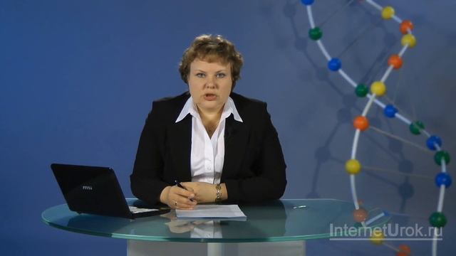 Динамика работоспособности. Режим дня. Видеоурок по биологии 8 класс смотреть онлайн