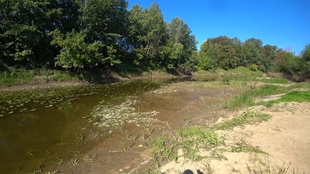 ЩУКА И СУДАК НА ДЖИГ! РЫБАЛКА НА СПИННИНГ 2020! РЫБАЛКА НА ОКЕ! смотреть онлайн