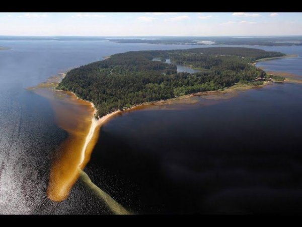 Майская коса острова Городомля на Селигере.