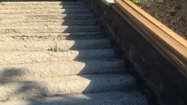 Шибаев порвал бы такого подрядчика в Саратове смотреть онлайн