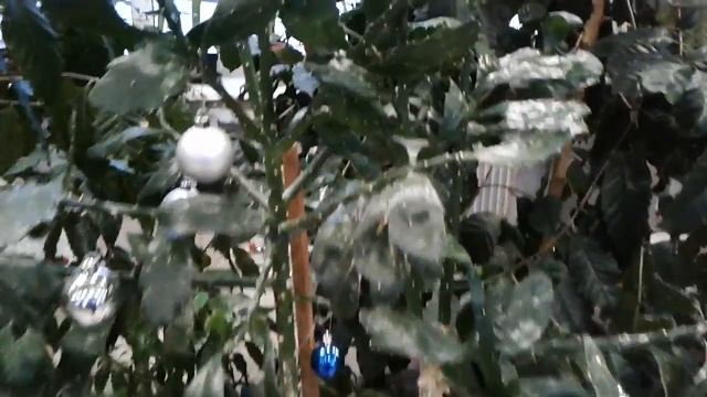 ВСЁ ТОТ ЖЕ ЗИМНИЙ САД СПУСТЯ ГОДЫ смотреть онлайн