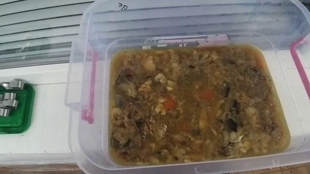 УХА ИЗ СОМА,СУПЕР РЕЦЕПТ ОТ МЕНЯ, смотреть онлайн