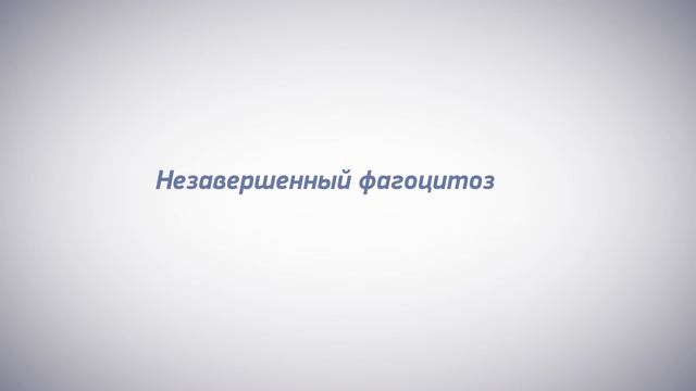 фосфолипиды и фагоцитоз смотреть онлайн