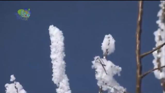 Лучшее поздравление с Днём Рождения, Вике смотреть онлайн