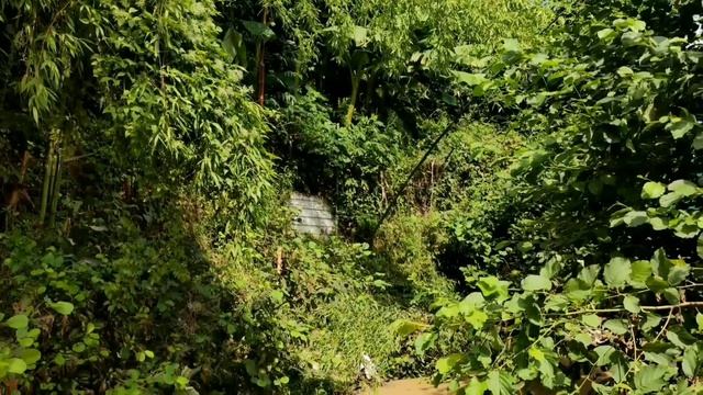 Абхазия,Пицунда,Рыбзавод смотреть онлайн