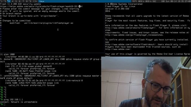 #7 Working on weekends on Webconverger - An Adobe Flash update смотреть онлайн