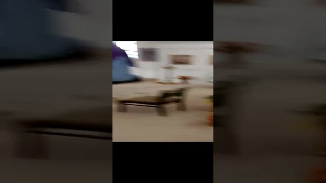 34 VID-20220920-WA0000.mp4