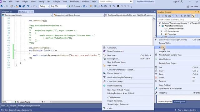 Part 14- wwwRoot folder and static Files in asp.net core |asp.net core tutorial for beginners смотреть онлайн