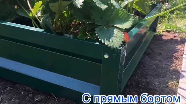 Оцинкованные грядки. Как выбрать ❓❓❓ смотреть онлайн