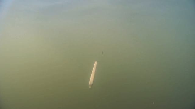 Дайвер "Moray" ("Мурена"). смотреть онлайн