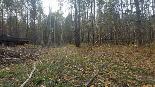 Осенняя заготовка дров на ГАЗ-66! Вездеход, внедорожник! смотреть онлайн
