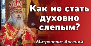 Проповедь митр. Арсения в Неделю 6-ю по Пасхе о слепом 29.05.2022 г.mp4