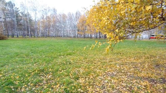 Парки и скверы Новосибирска смотреть онлайн