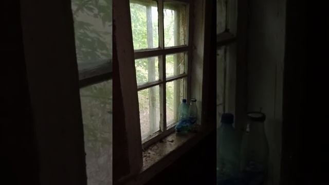 д.Заболотье, Рогачевский р-н, 03.09.2022г.