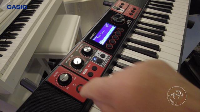 Nuove Tastiere CASIO Casiotone CT S500 e CT S1000V - Feat. Pierangelo Bettoni смотреть онлайн