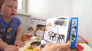 Азбукварик : планшет, мультиплеер, книги