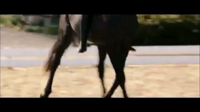 Восточный ветер 2