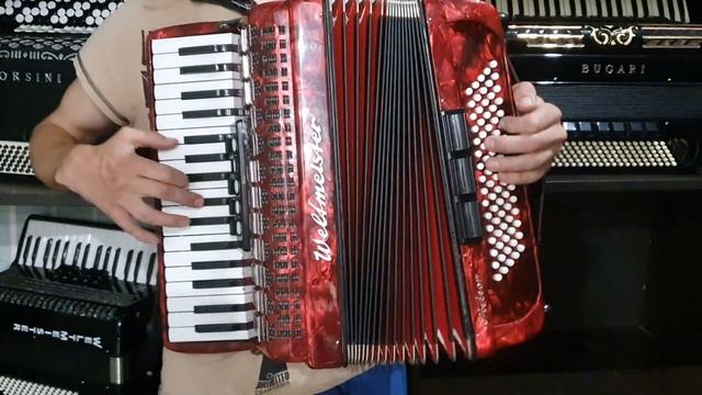 Аккордеон Weltmeister Meteot n. 3/4 продажа 8917 814-56-22 смотреть онлайн