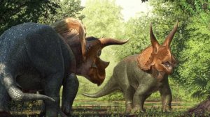 ТРИЦЕРАТОПС - ТРАВОЯДНЫЙ ДИНОЗАВР. ВЕГЕТАРИАНЕЦ - Цератопс, который мог противостоять Тираннозавру