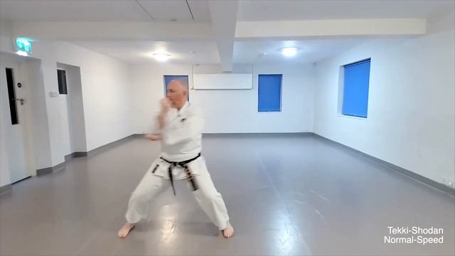 TEKKI SHODAN (SKIF) смотреть онлайн