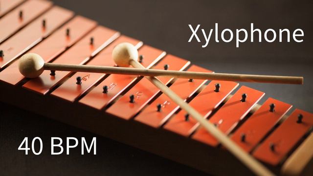 Metronome - 40 BPM on Xylophone смотреть онлайн