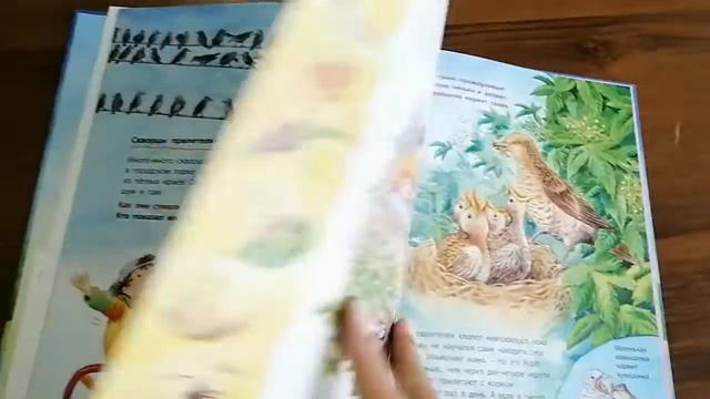Синичка(книга) смотреть онлайн