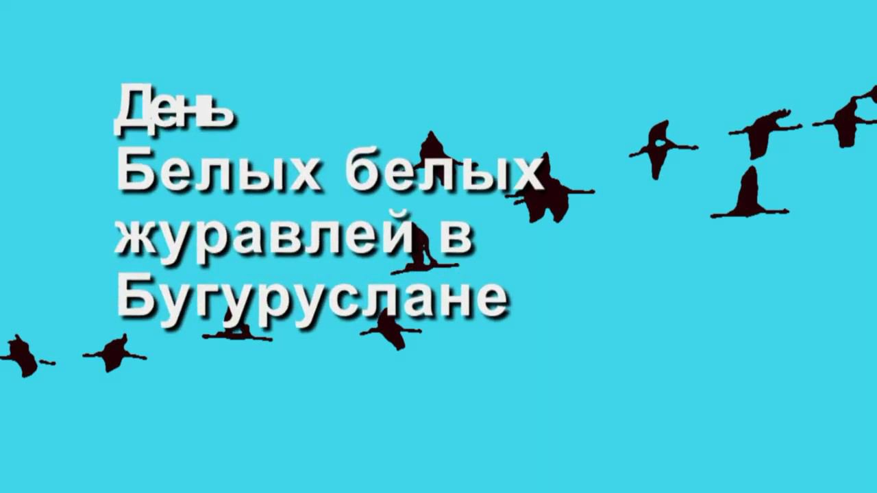 белые журавли смотреть онлайн
