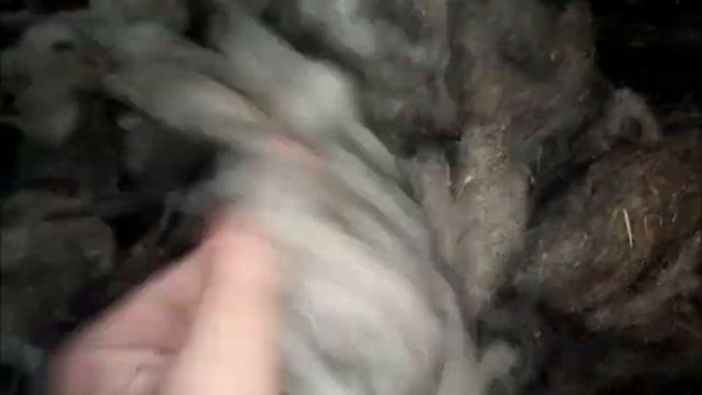 Станок для Очистки Шерсти смотреть онлайн