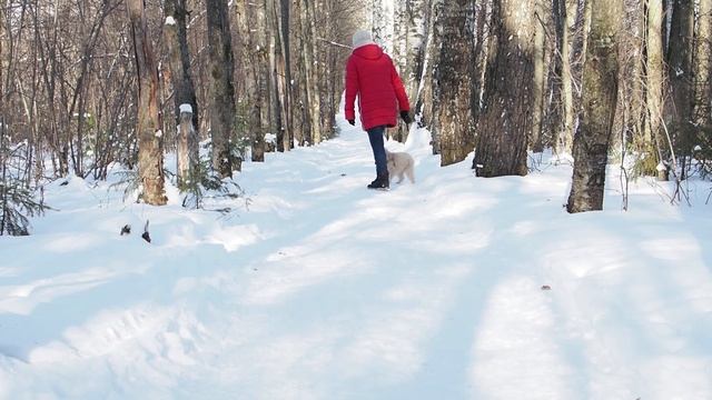 Наша Жужа. смотреть онлайн