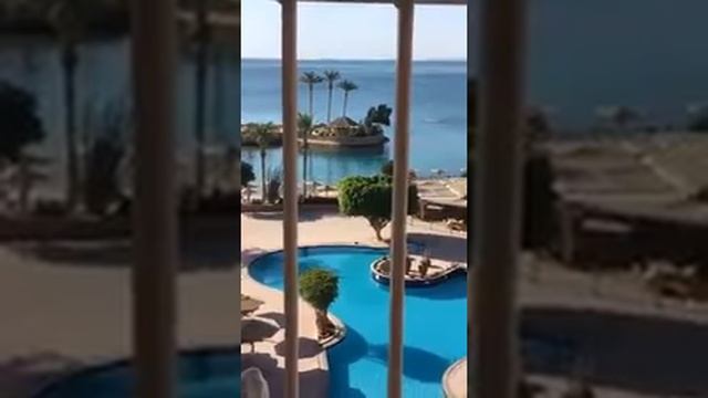 КАК ПРИВЛЕЧЬ ТАБУН ЖЕНЩИН или СВОЮ ЛЮБИМУЮ Женщинку? смотреть онлайн