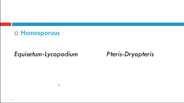 Homosporous And Heterosporous Pteridophytes | Trick To Remember Examples