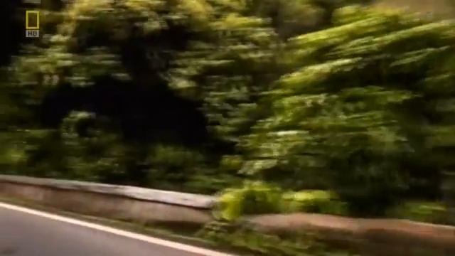 Brain Games Dont Be Afraid Part 01.mp4 смотреть онлайн