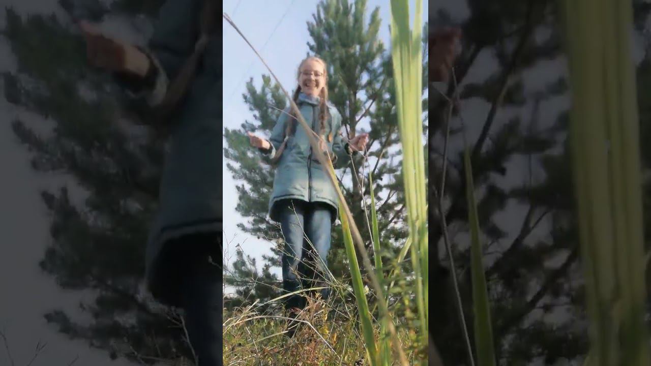 мы в поле смотреть онлайн