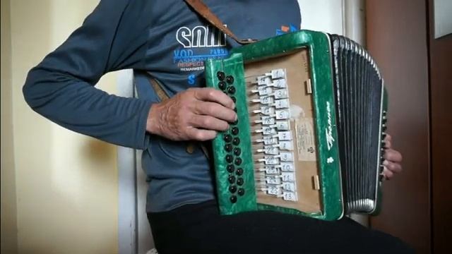 Разбрелись возле тихой реки (Васильки) разбор на гармони №-256 с цифрами смотреть онлайн