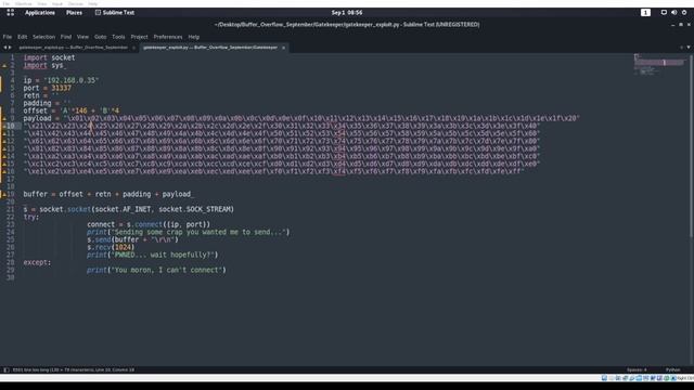 Try Hack Me: Gatekeeper with Python смотреть онлайн