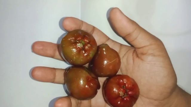 Fruit Asmr Eating - Lychee + Syzygium Malaccense + Grape? + Guava & Banana? смотреть онлайн