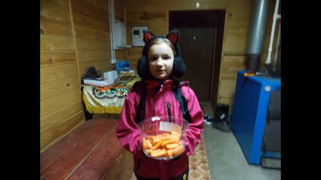 серия 6.  Экскурсия на конезавод Медведки. Костромская область.