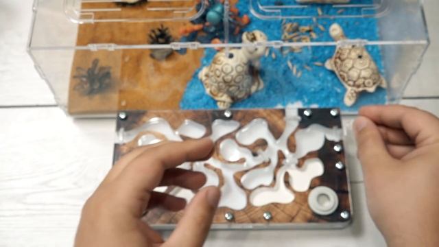 МУРАВЬИ в ШОКЕ! ПЕРЕСЕЛЕНИЕ! Моя новая Муравьиная Ферма смотреть онлайн