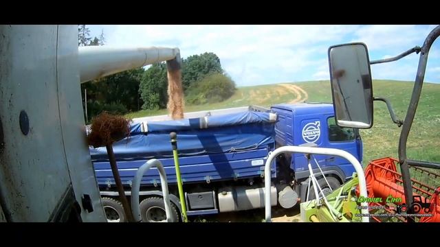 [Niceboy Vega 4K] Pea harvest 2017 | Třemošenská a.s. | 3x Claas Lexion, Fendt, Volvo | смотреть онлайн