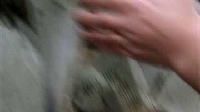 Кузовной ремонт. Восстановление Форд Скорпио. День 4 и 5. смотреть онлайн